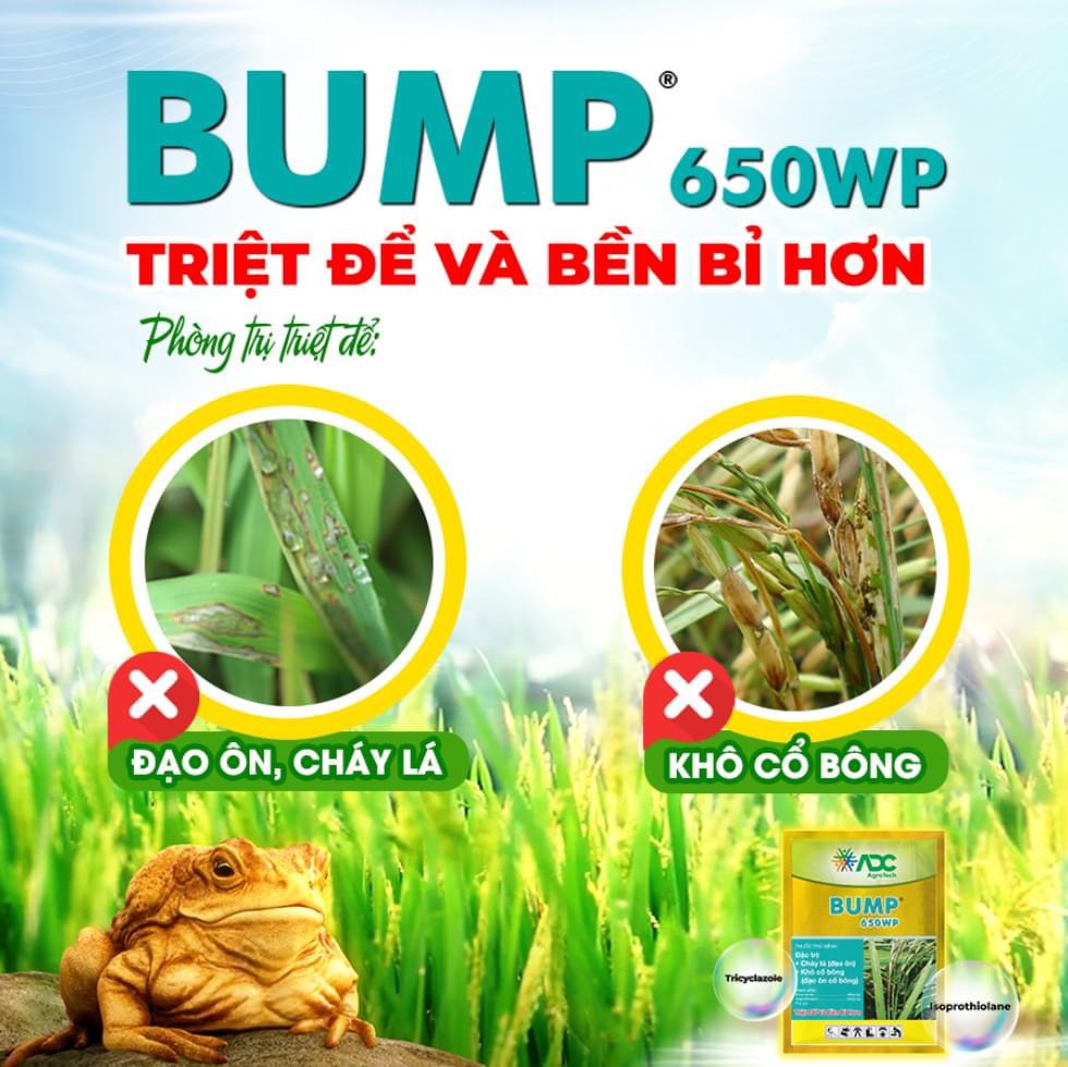 Thuốc trừ bệnh Bump 650WP - Gói 100g